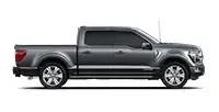 F-150 PLATINUM® Thumb